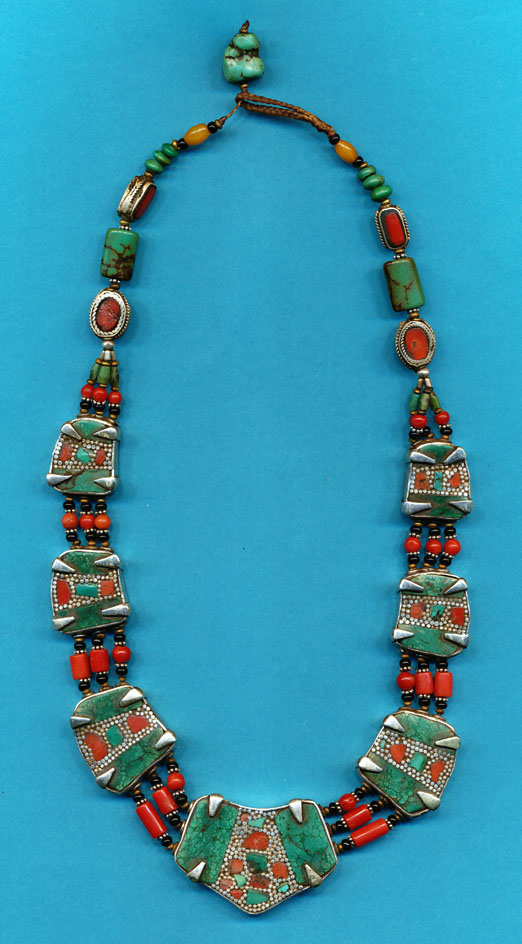 Beautiful Collar Coral