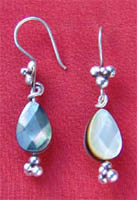 Faceted Shell Earrings