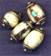 small shell