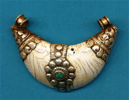 Qazi Shell 022.JPG