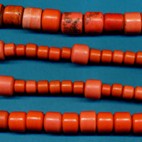 Sherpa Coral