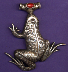 Realistic Frog Front